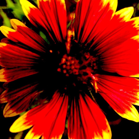 Meet your Posher, Kelley - Picture 1 of 1